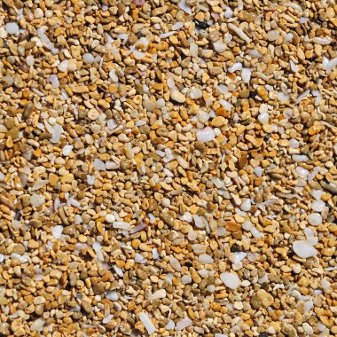 ıslak sahil kumu arka kapatmak