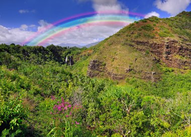 Waterfall in Kauai With Rainbow clipart