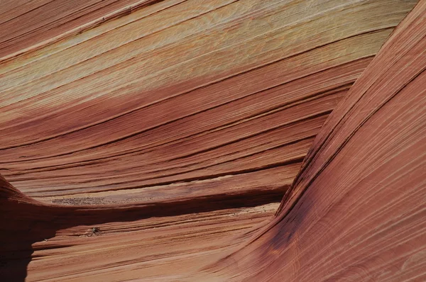 The Wave, North Coyote Buttes — Stock Photo, Image