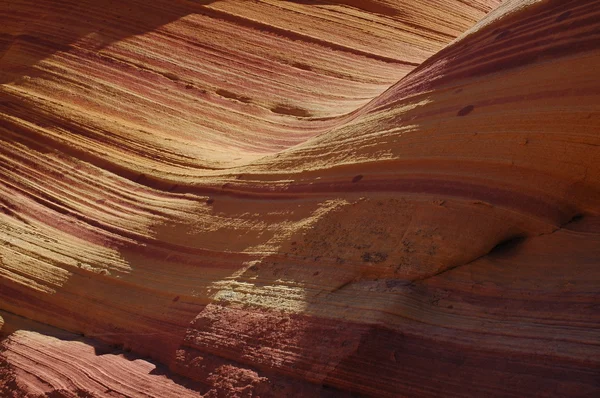 The Wave, North Coyote Buttes — Stock Photo, Image