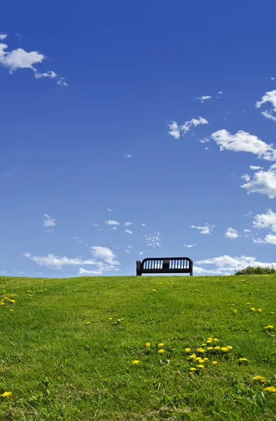 Solitary bench on a lush green hilltop field dotted with yellow dandelions — Stock Photo, Image