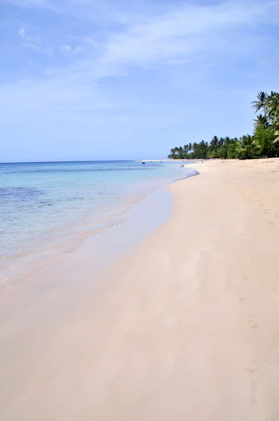 Praia tropical imaculada com muito espaço de cópia, ideal para temas de viagem de verão — Fotografia de Stock