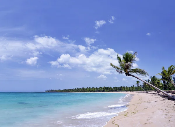 Spiaggia tropicale mozzafiato con un sacco di spazio copia, ideale per i temi di viaggio estivi — Foto Stock