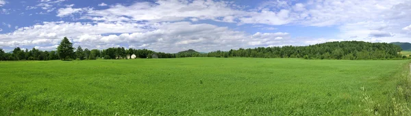 Kuzey Vermont gür yeşil çiftlik