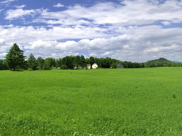 Lummiga gröna gård i norra vermont — Stockfoto