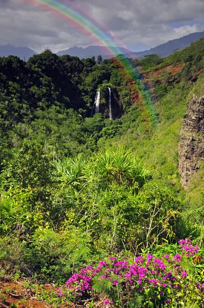 Scena del paesaggio cascata Opeka a Kauai con un arcobaleno — Foto Stock