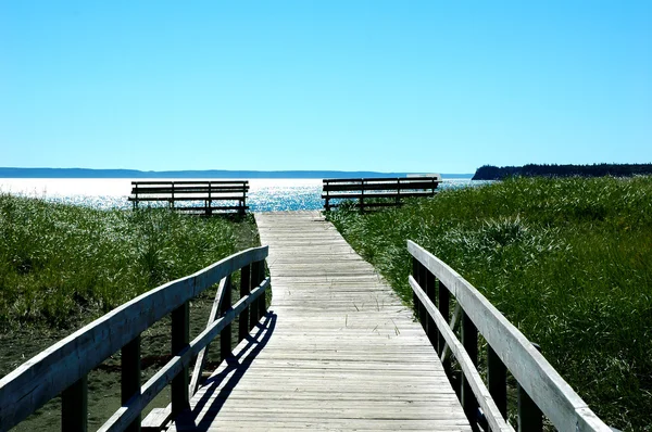 长凳看越过大洋，坎波贝洛岛、 新不伦瑞克省、 加拿大海岸上 免版税图库图片