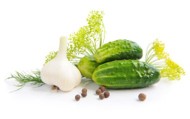 konserve için salatalık ve yeşilliklerle hazırlanması olduğunu