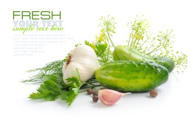 konserve için salatalık ve yeşilliklerle hazırlanması olduğunu