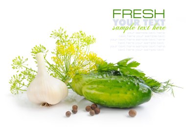 konserve için salatalık ve yeşilliklerle hazırlanması olduğunu