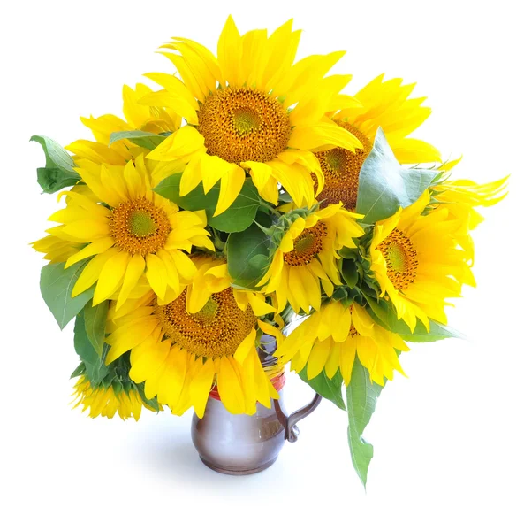 Strauß Sonnenblumen auf weißem Hintergrund — Stockfoto