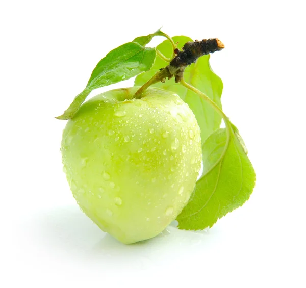 Manzana verde fresca sobre un fondo blanco —  Fotos de Stock