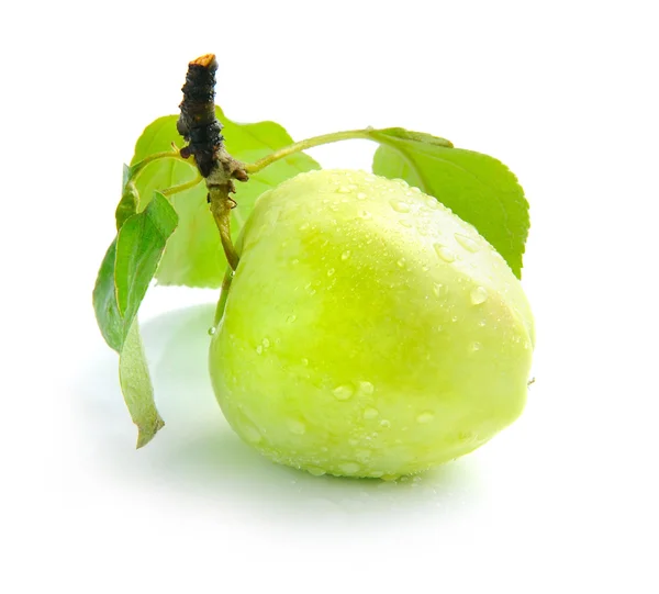 Manzana verde fresca sobre un fondo blanco — Foto de Stock