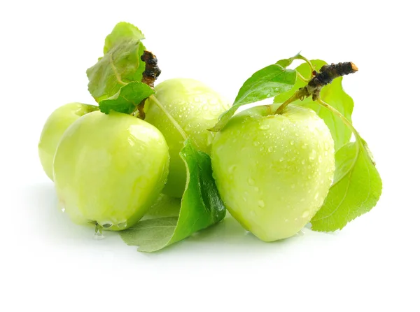 Manzanas verdes frescas sobre un fondo blanco — Foto de Stock