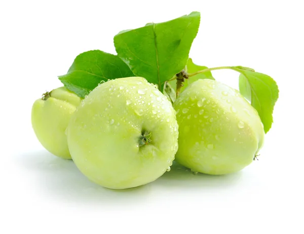 Verse groene appels zijn op een witte achtergrond — Stockfoto