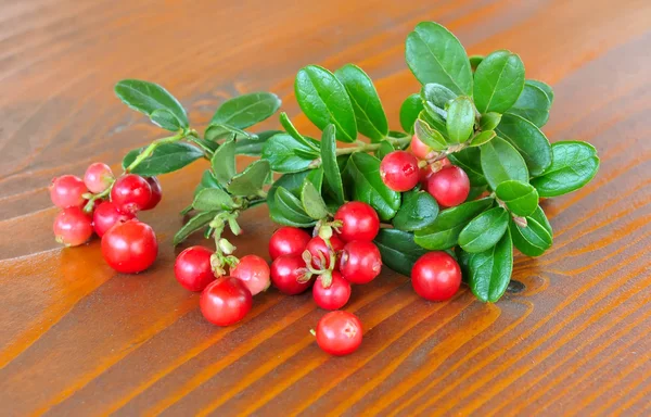 Beeren der Wilden Preiselbeere (vaccinium vitis-idaea) befinden sich auf einem Holzuntergrund — Stockfoto