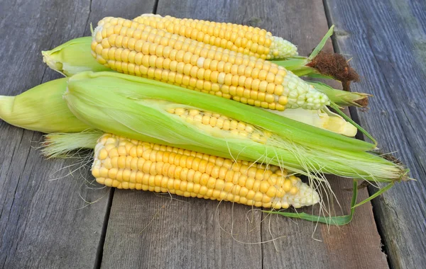 Organic fresh corn on wooden surface — Stock Photo, Image