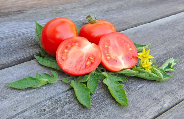 Los tomates están con hojas y flores en una vieja mesa de madera — Foto de Stock