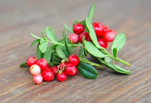 Meyveleri vahşi Fuska (Vaccinium vitis-idaea), bir ahşap arka plan vardır — Stok fotoğraf