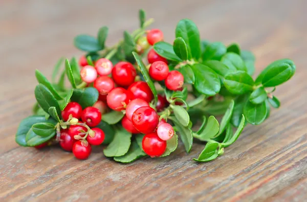 Berries of wild cowberry (Vaccinium vitis-idaea) are on a wooden background — Stock Photo, Image