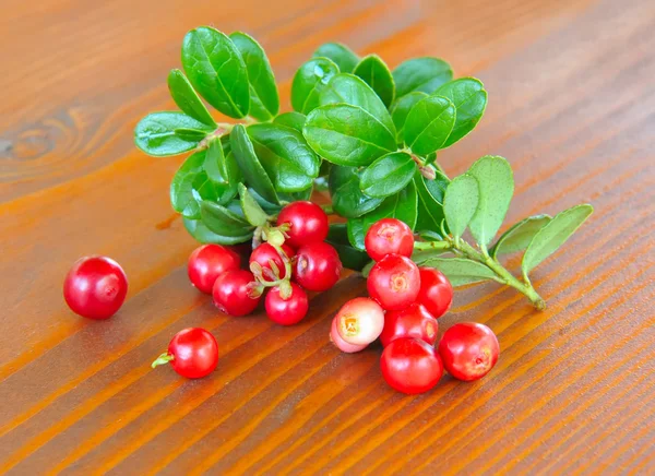 Beeren der Wilden Preiselbeere (vaccinium vitis-idaea) befinden sich auf einem Holzuntergrund — Stockfoto