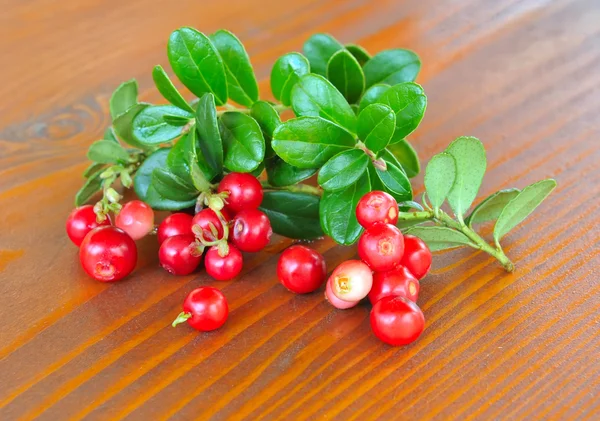 Beeren der Wilden Preiselbeere (vaccinium vitis-idaea) befinden sich auf einem Holzuntergrund — Stockfoto