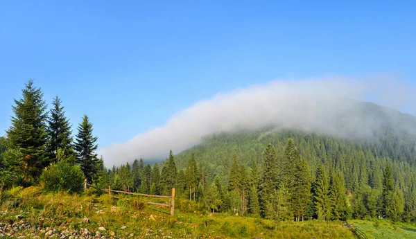 Schöner sonniger Tag in der Berglandschaft. Karpaten, Ukraine. — Stockfoto