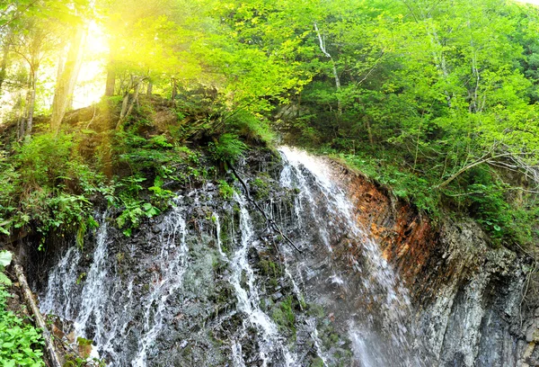 Hermosa cascada en medio del bosque verde — Foto de Stock