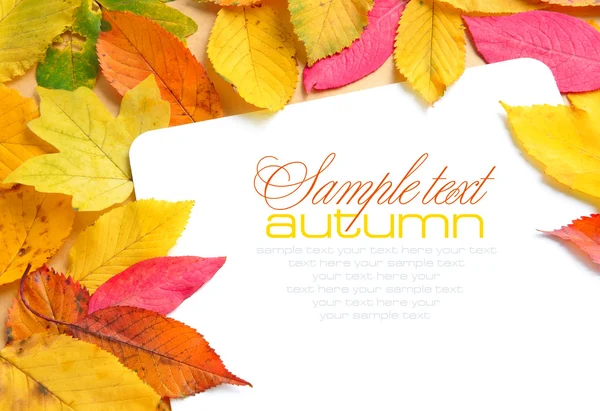 Krásné podzimní listí a blahopřání — Stock fotografie