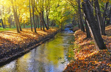 güzel sonbahar yatay, nehir