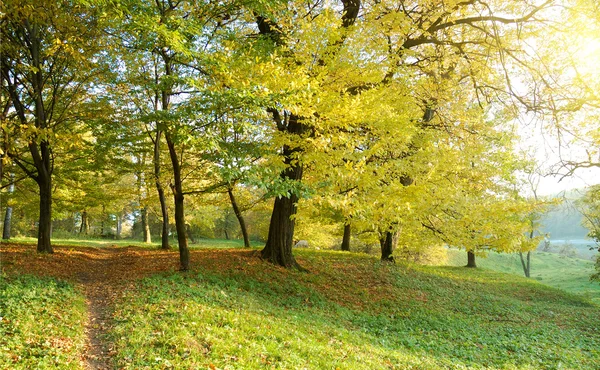 Paisagem de outono — Fotografia de Stock