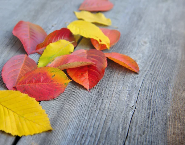 Autumn Leaves over old wooden background — Stock Photo, Image