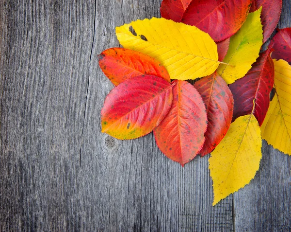 Hojas de otoño sobre fondo de madera viejo —  Fotos de Stock