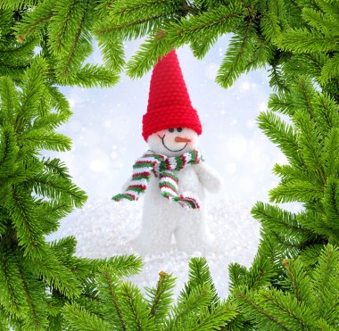 kardan adam çerçevesinde FIR şubeleri