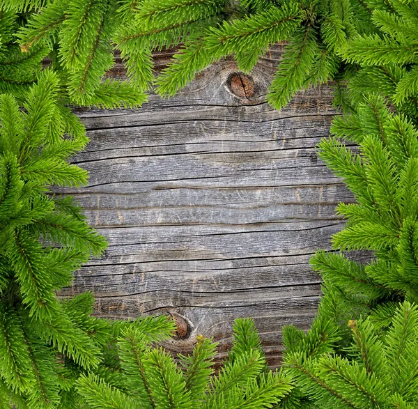 Enmarcar las ramas de pino sobre fondo de madera vieja —  Fotos de Stock