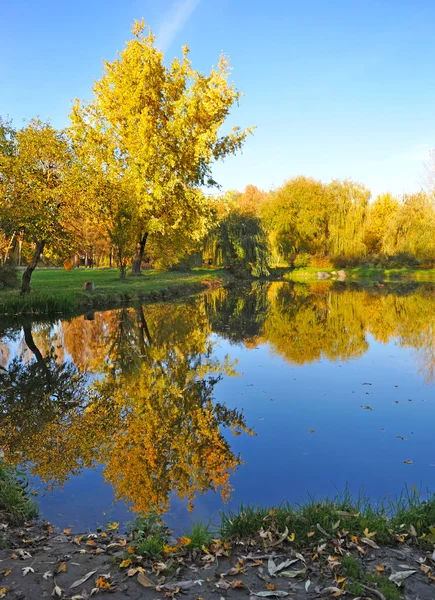 Gölü olan güzel sonbahar manzarası — Stok fotoğraf
