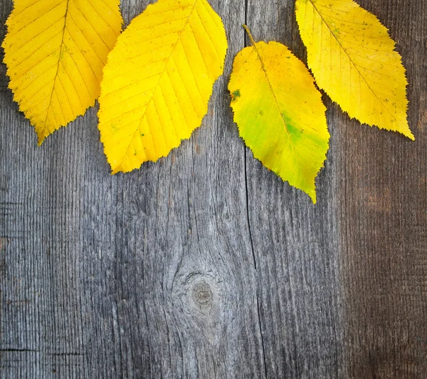 Herfst bladeren over oude houten achtergrond — Stockfoto