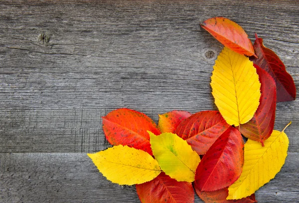 Herfst bladeren over oude houten achtergrond — Stockfoto