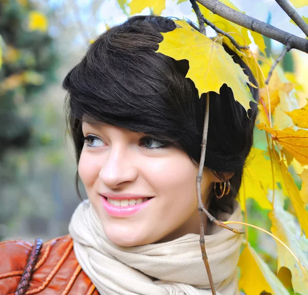 Menina no outono com folhas de bordo — Fotografia de Stock