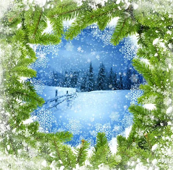 トウヒの積雪の枝は、背景に冬の風景 — ストック写真