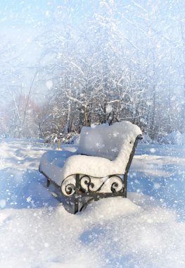 karla kaplı park Bench