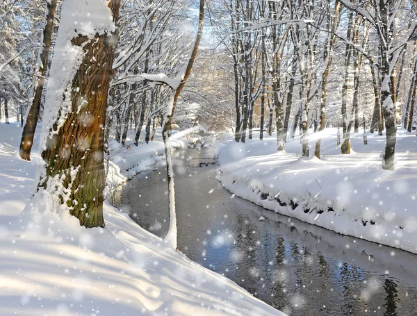 Foresta invernale con il fiume in giorno gelido — Foto Stock