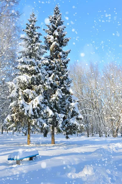 Prachtig winterlandschap — Stockfoto
