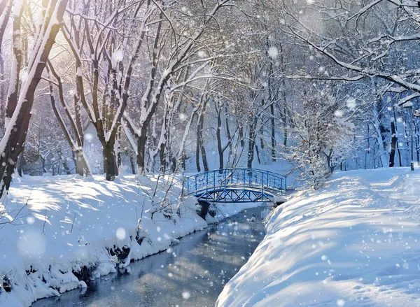 güzel kış manzara nehir ile