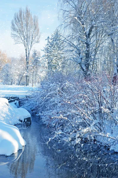 Soğuk bir günde nehirle birlikte kış manzarası