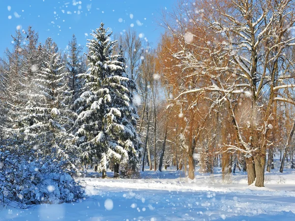 Bellissimo paesaggio invernale — Foto Stock