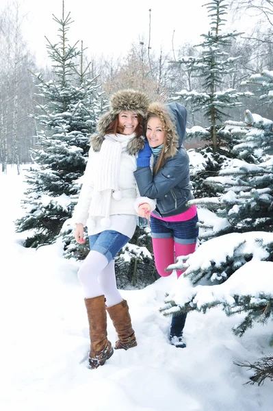 Jovens meninas bonitas estão na floresta de inverno — Fotografia de Stock