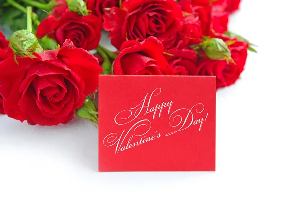 Red roses are with the card of greeting on a white background — Stock Photo, Image