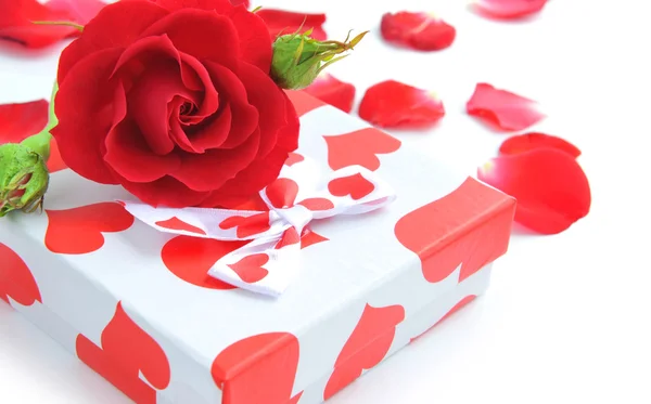 Malý dárek s červená růže a lístky na bílém pozadí — Stock fotografie