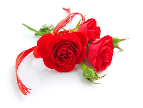 Red roses on white background — Stock Photo, Image